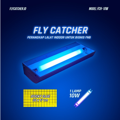 Flycatcher FCH1L10W